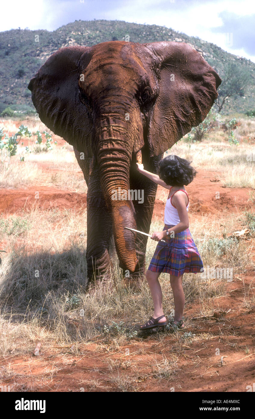 Giovane ragazza bianco riunione un elefante orfani nel parco nazionale orientale di Tsavo Kenya Africa orientale Foto Stock