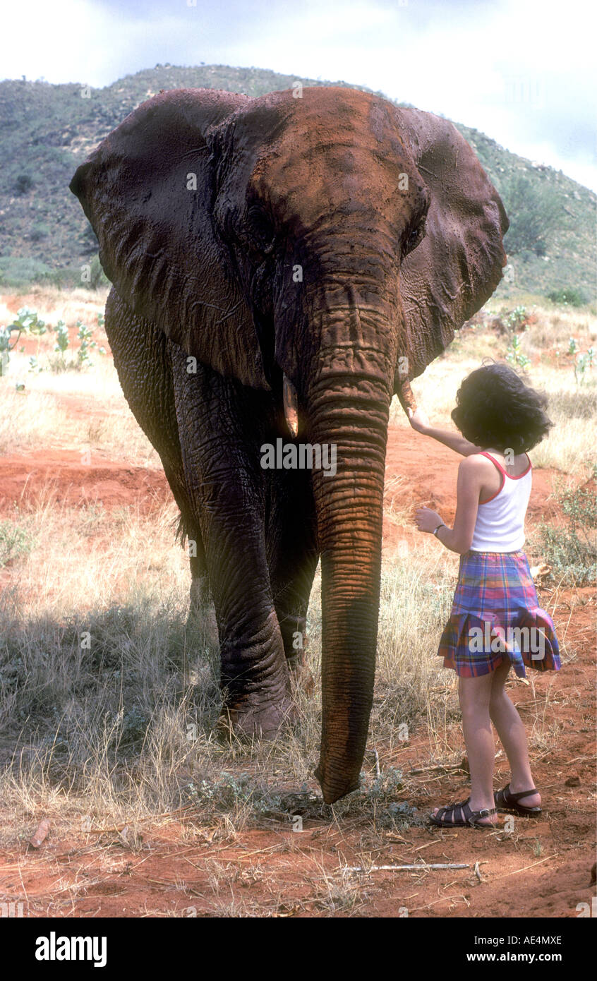 Giovane ragazza bianco riunione un elefante orfani nel parco nazionale orientale di Tsavo Kenya Africa orientale Foto Stock