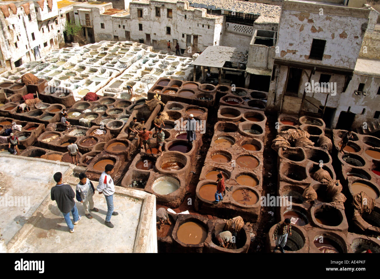 Gli uomini tan e pelle di colorante in grandi tini in un Fez, in Marocco, conceria. Foto Stock