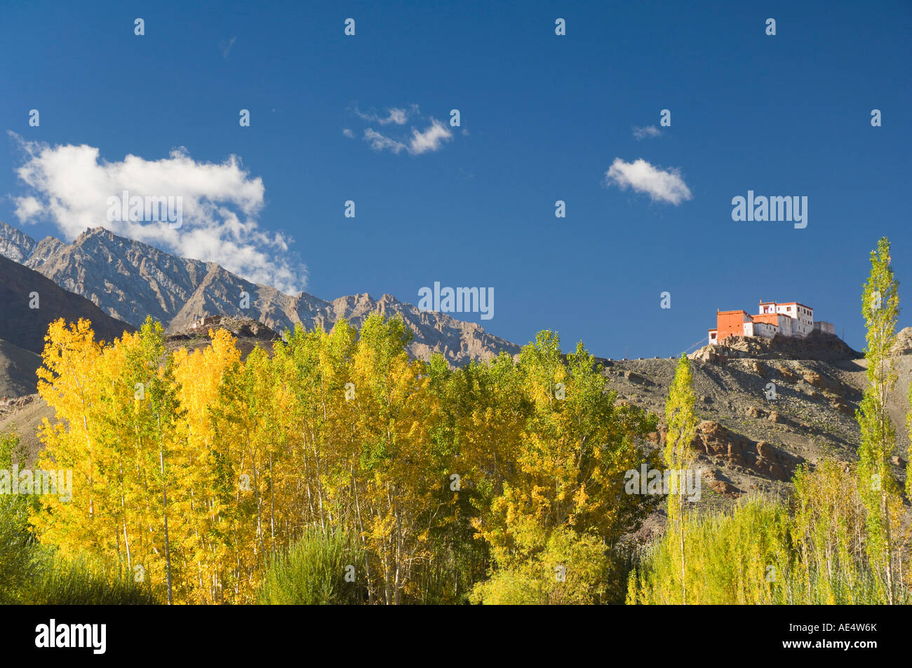 Matho gompa (monastero) e massiccio Stok-Kangri, Ladakh Himalaya indiano, India, Asia Foto Stock