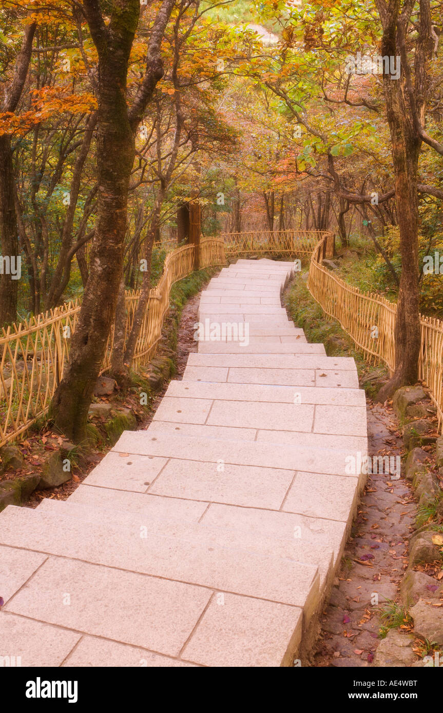 Il sentiero, Monte Huangshan (gialle di montagna), il Sito Patrimonio Mondiale dell'UNESCO, provincia di Anhui, Cina e Asia Foto Stock