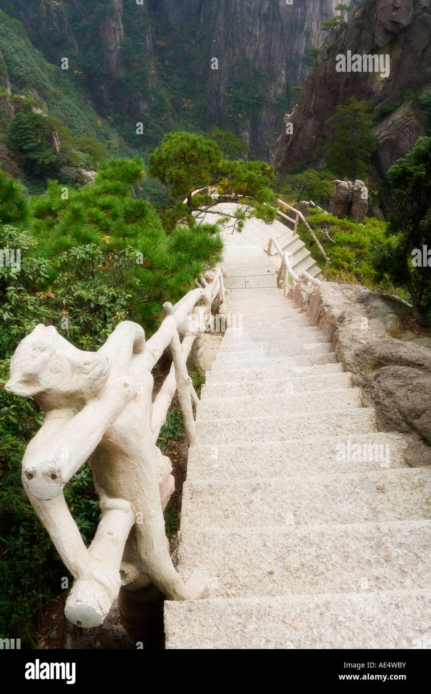 Il sentiero, Xihai (mare occidentale) Valley, Monte Huangshan (gialle di montagna), il Sito Patrimonio Mondiale dell'UNESCO, provincia di Anhui, Cina e Asia Foto Stock