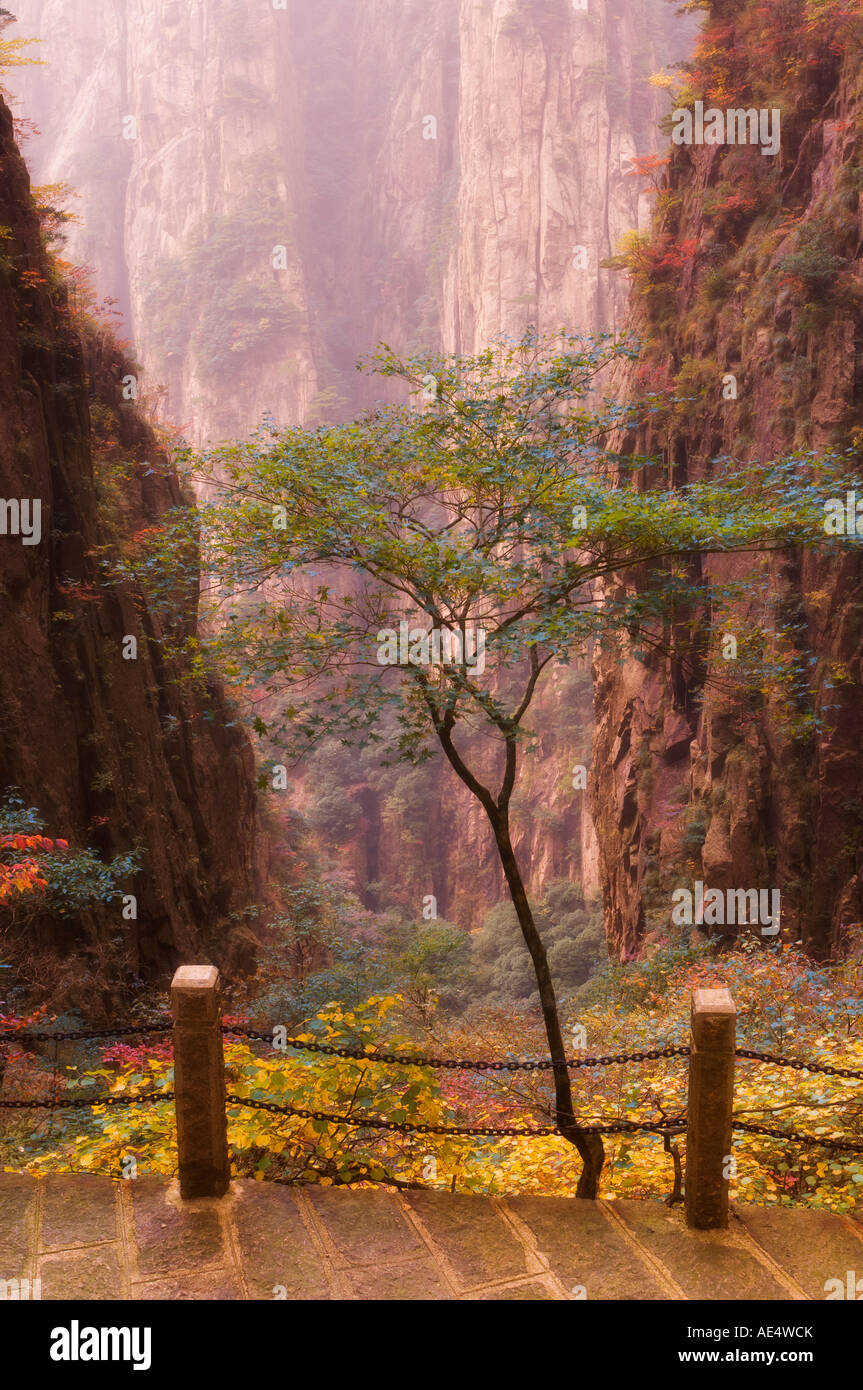 I colori autunnali, Xihai (mare occidentale) Valley, Monte Huangshan (gialle di montagna), il Sito Patrimonio Mondiale dell'UNESCO, provincia di Anhui, Cina Foto Stock