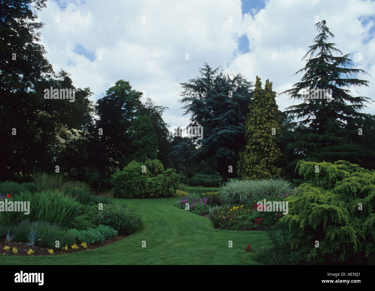 Giardini di Bressingham in Norfolk Regno Unito Foto Stock