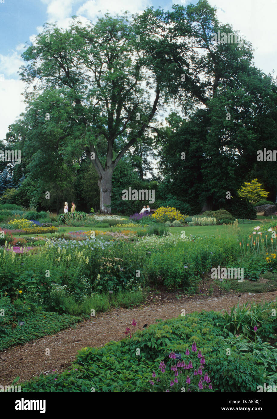 Giardini di Bressingham in Norfolk Regno Unito Foto Stock
