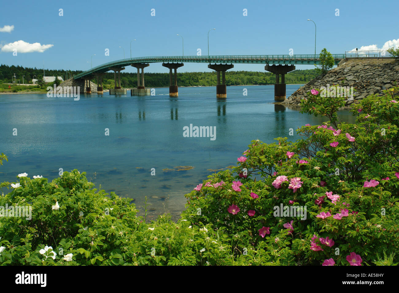 AJD59539, Lubec, ME, Maine, Baia di Fundy, D Roosevelt Memorial Bridge & Campobello Island, NB, New Brunswick, Canada Foto Stock