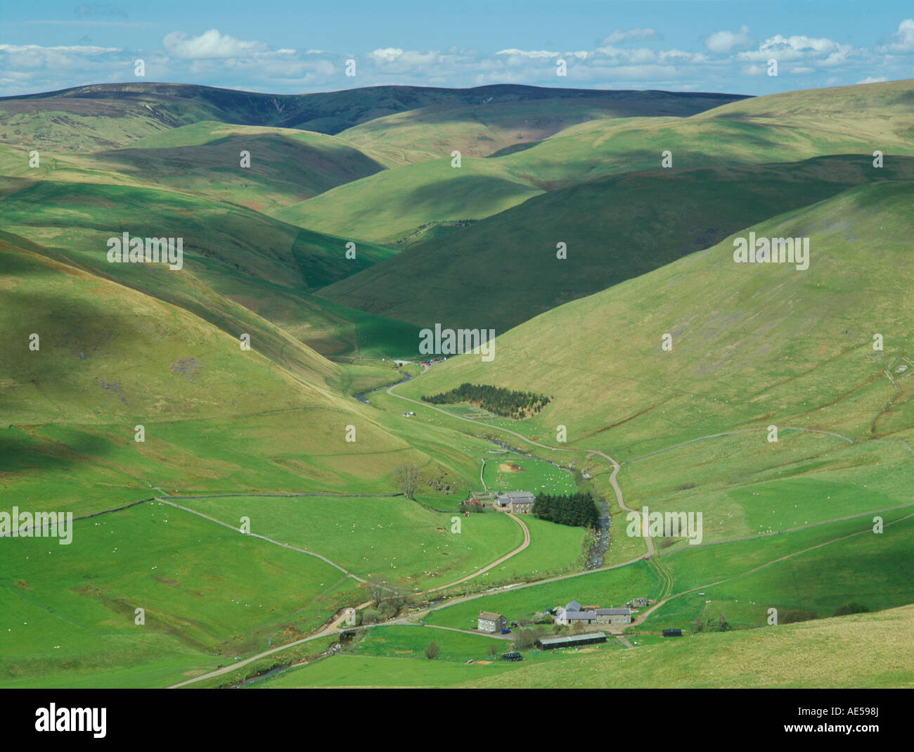 Coquetdale superiore vicino Shilmoor, parco nazionale di Northumberland, Northumberland Foto Stock