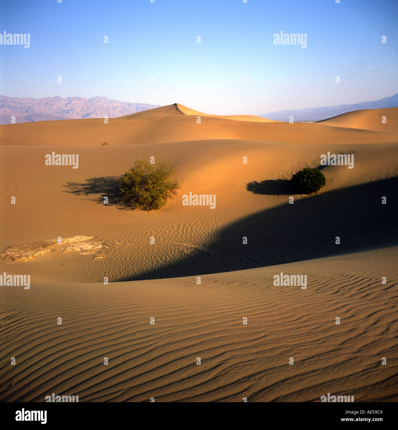 Le dune di sabbia vicino a tubo da stufa pozzetti Death Valley California USA Foto Stock