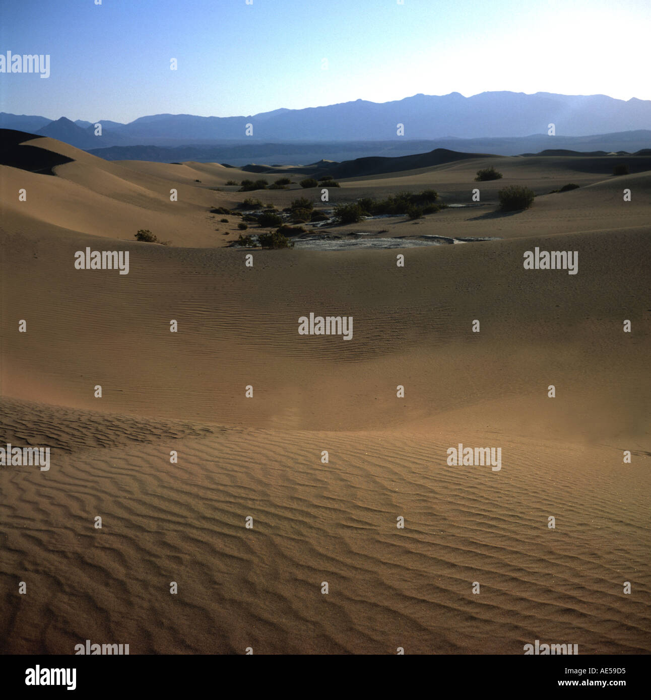 Le dune di sabbia vicino a tubo da stufa pozzetti Death Valley California USA Foto Stock