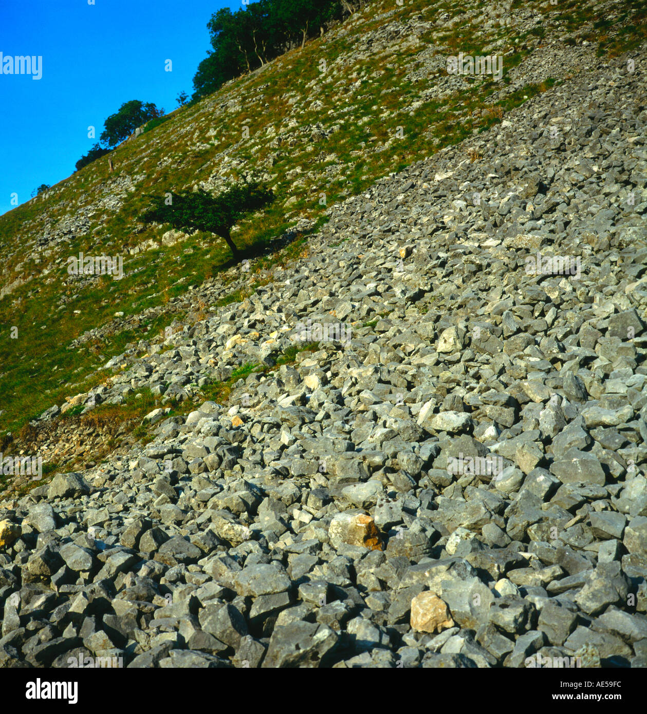 Ghiaione Yorkshire Dales National Park in Inghilterra Foto Stock