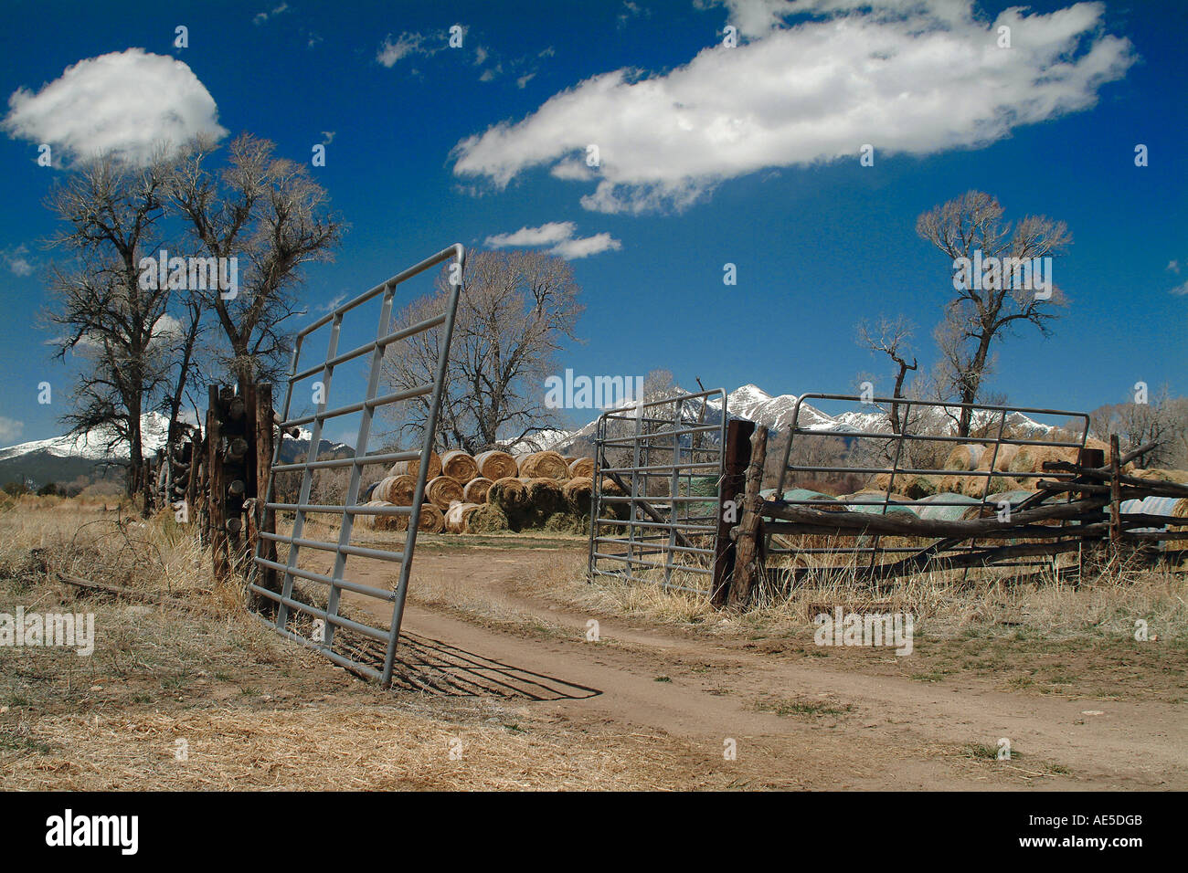 Lifestile rurale,farm ranch tableau vicino al rockys.recinzione recinzioni con fieno Colorado, Stati Uniti d'America road trip Foto Stock