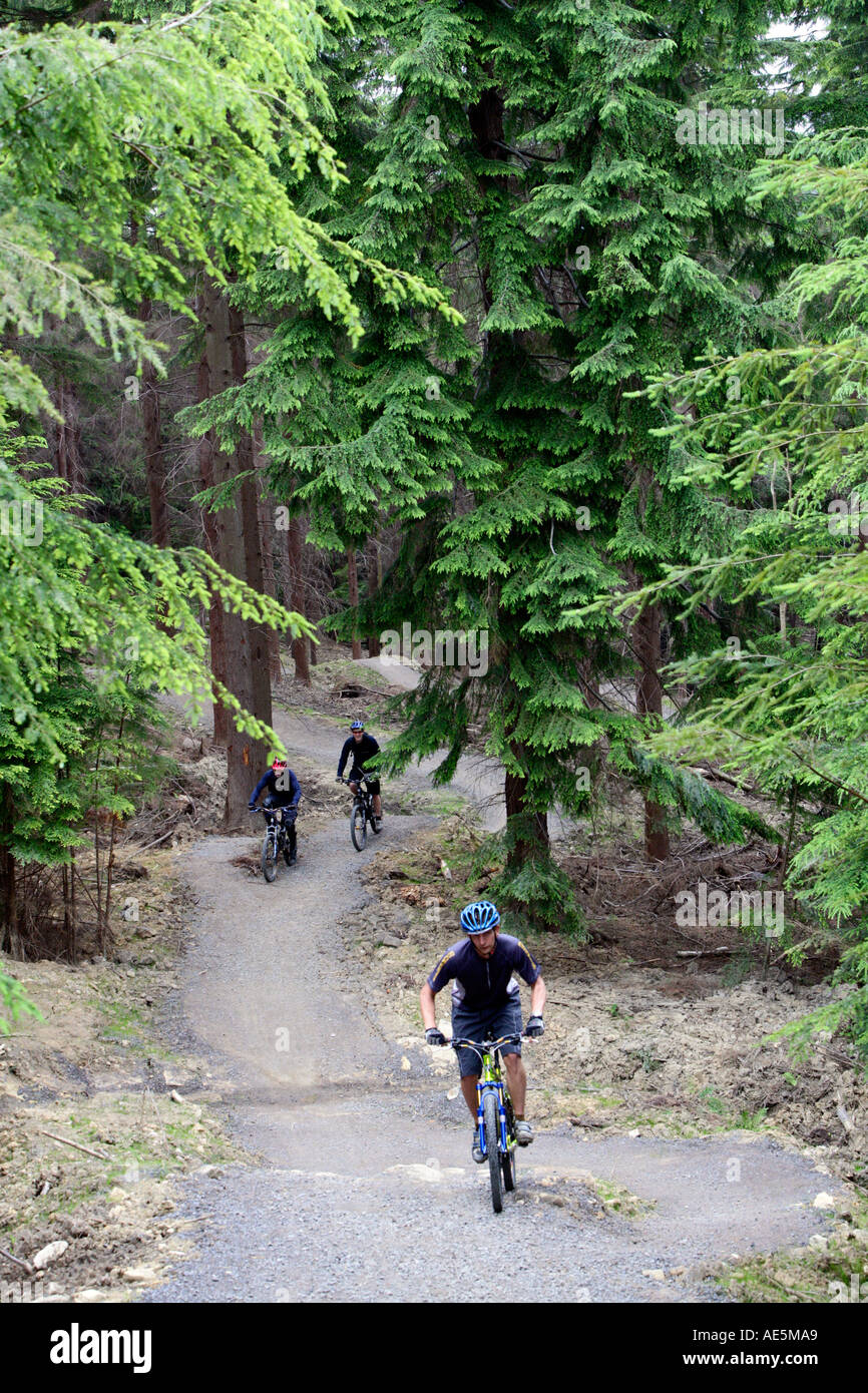 Mountain Bike Hamsterley Forest County Durham Foto Stock