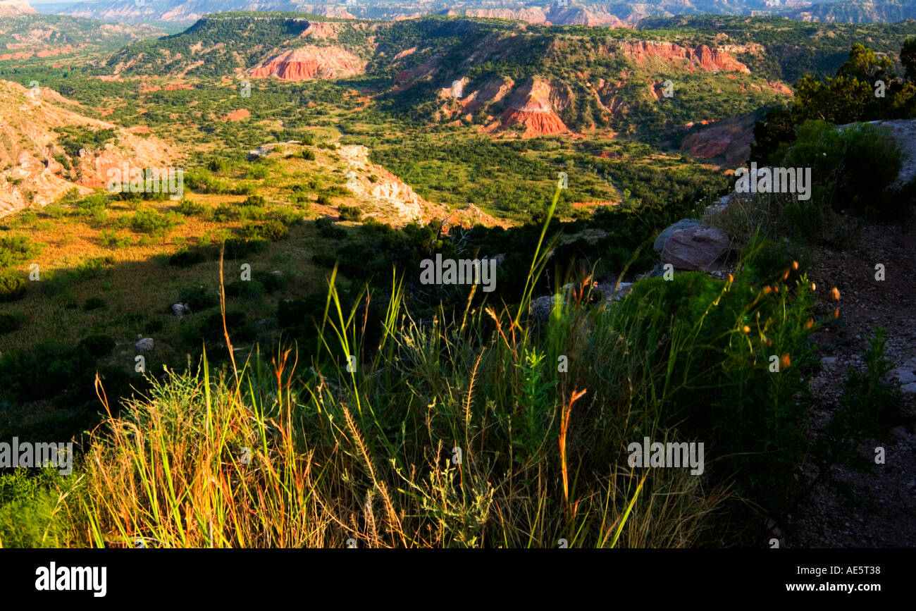 Palo Duro Canyon State Park Amarillo Texas USA Foto Stock