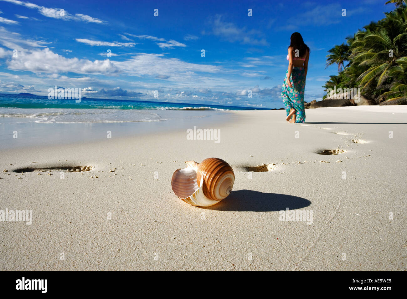 Donna che cammina sulla spiaggia con conchiglia di mare in primo piano Anse Victorin spiaggia e palme Fregate Island Seychelles Foto Stock