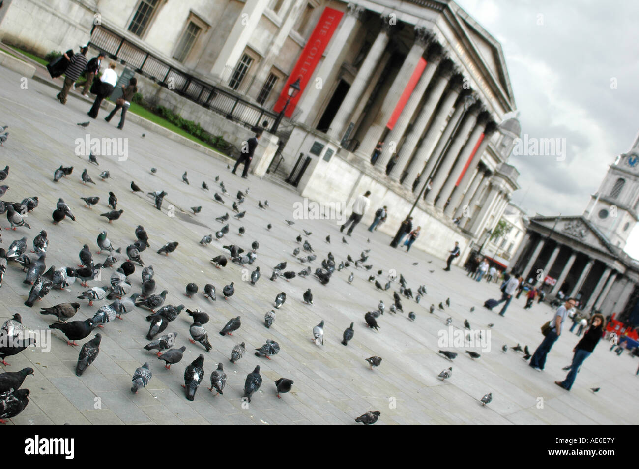 Piccioni al di fuori della British art gallery, Londra Foto Stock