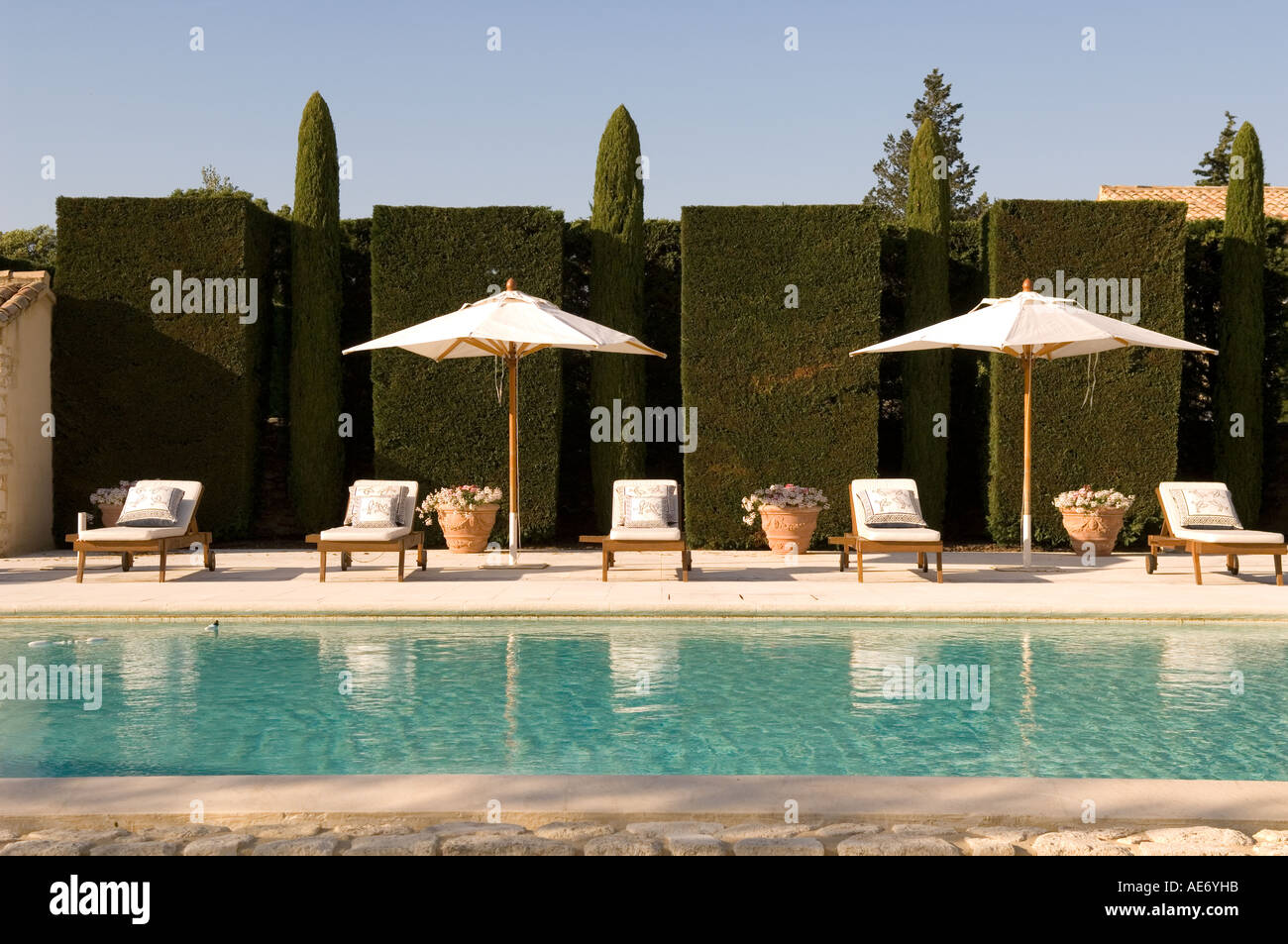 Piscina con lettini e ombrelloni e rifilando hedge in background Foto stock  - Alamy
