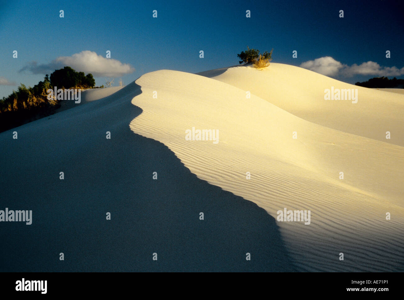 Le dune di sabbia lungo la costa dell'Oceano Indiano a Arniston, Western Cape, Sud Africa Foto Stock
