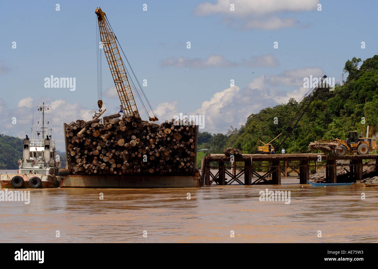 Accedere Barge, parte di una grande operazione di registrazione sul Batang Rajang fiume tra Sibu e Kapit, Sarawak, Borneo, Malaysia Foto Stock