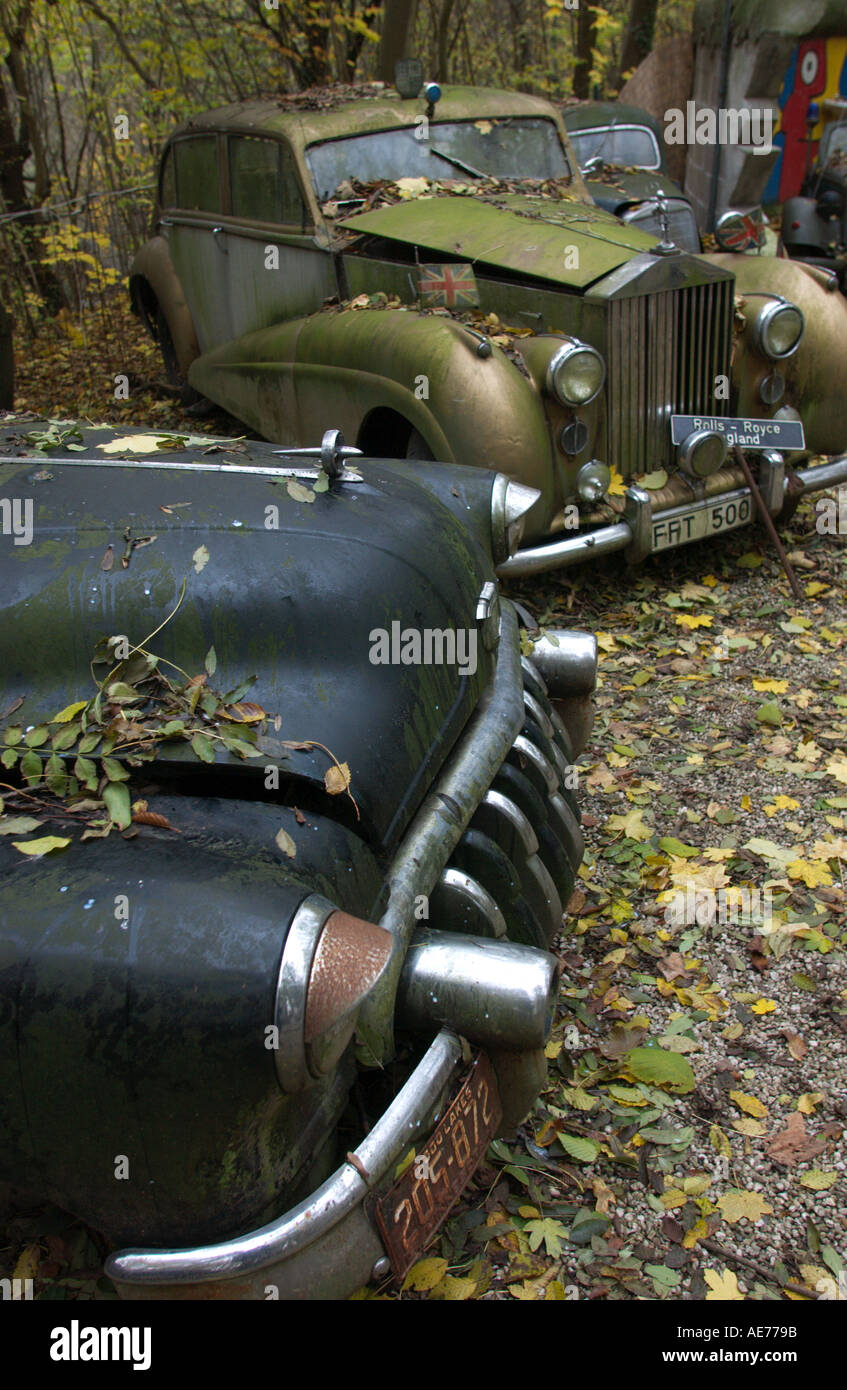 Vetture a partire dall'anno 1950 in un parco autunnali di un collettore auto vicino a Duesseldorf in Germania Foto Stock