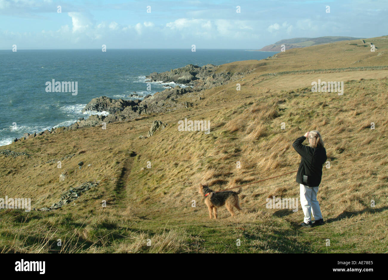 Un walker e il suo cane ammirare la vista sul Southern Upland Way Galloway Scozia Scotland Foto Stock