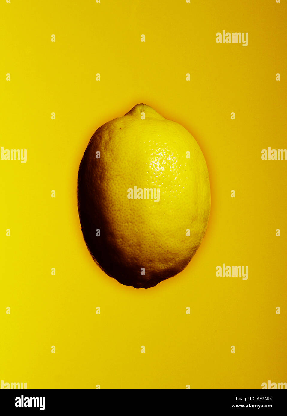 limone giallo Foto Stock