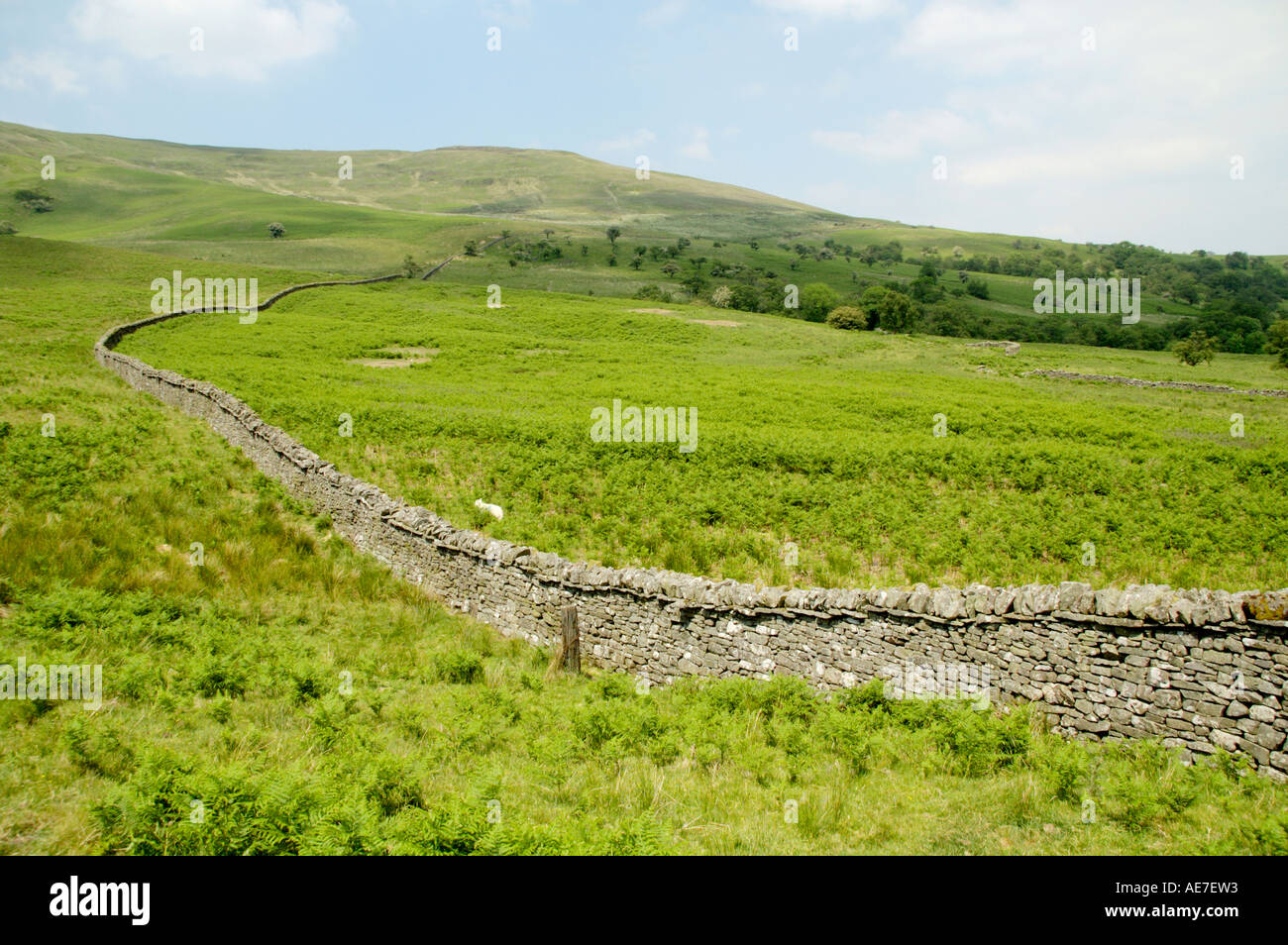 In pietra a secco muro di confine presso il Craig Cerrig Gleisiad una ventola Frynych riserva naturale nazionale Brecon Beacons Powys Mid Wales UK Foto Stock