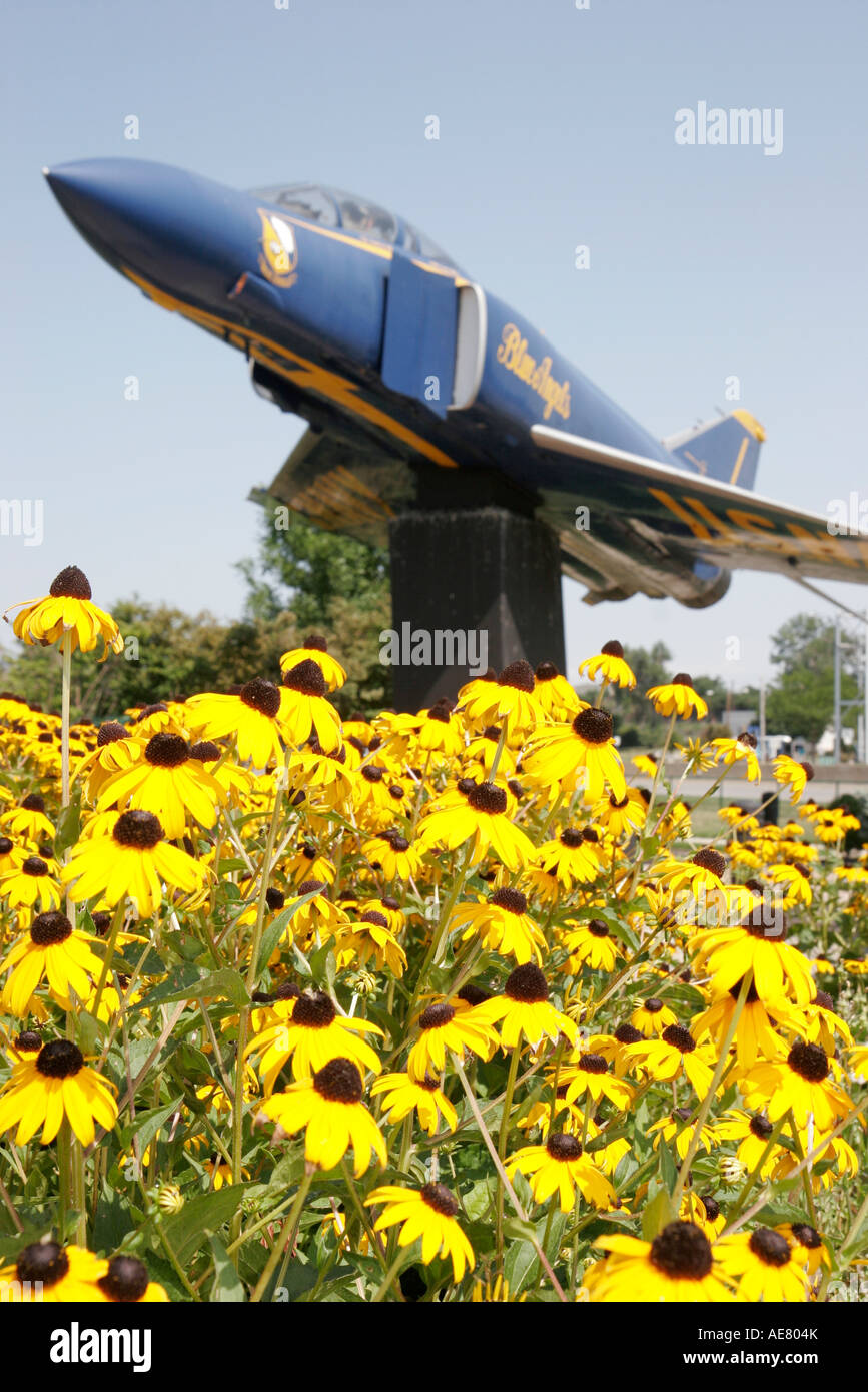 Ohio Cuyahoga County,Cleveland,National Air Show Plaza,Blue Angel Fighter Jet,Shining Coneflower,OH070731076 Foto Stock
