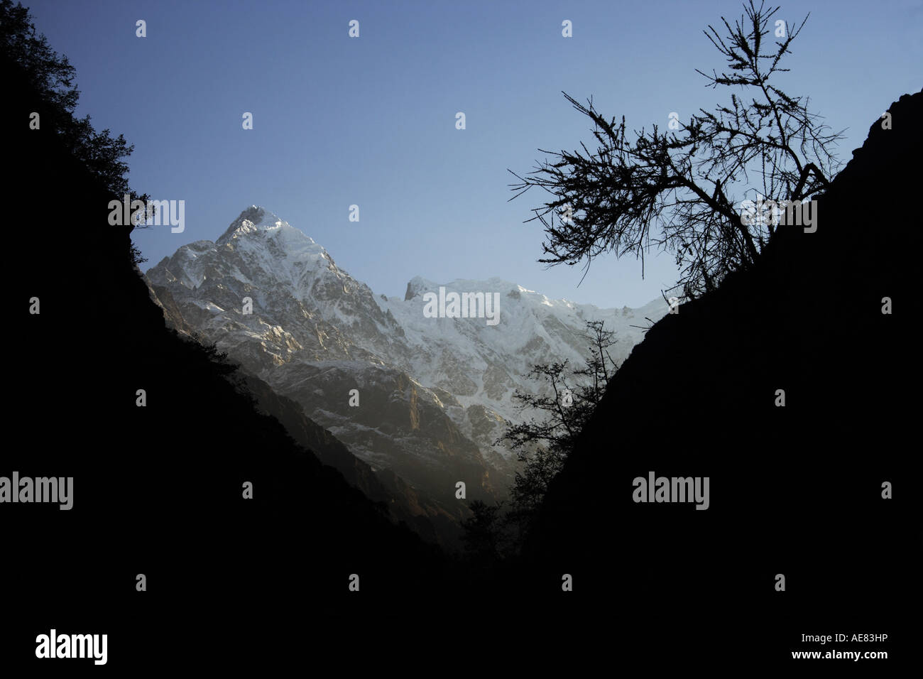 Picco di montagna in Himalaya Langtang Nepal Aprile 2007 Foto Stock