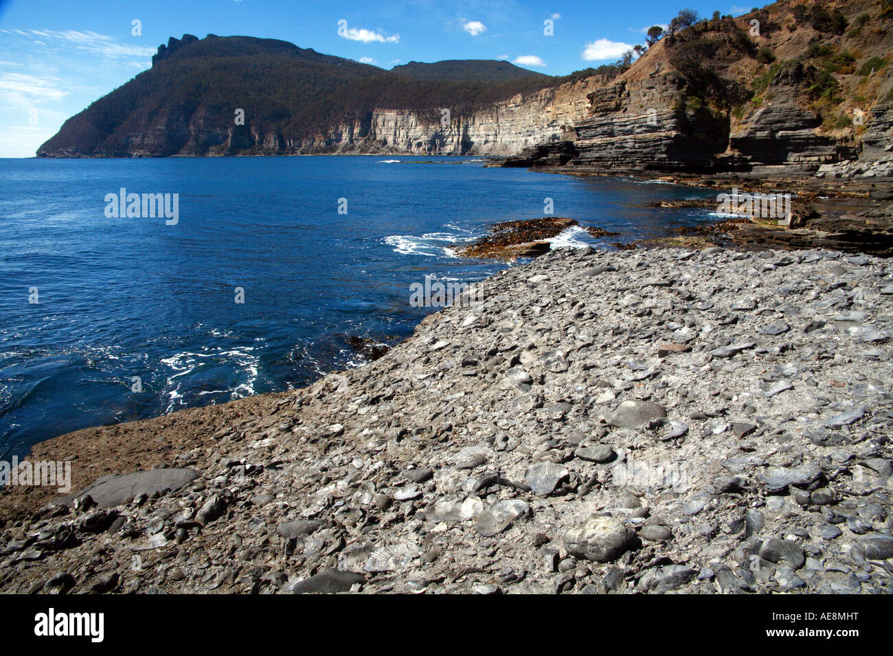 Le falesie fossili e la presenza incombente del Vescovo e Cancelliere picchi su Maria Island Foto Stock