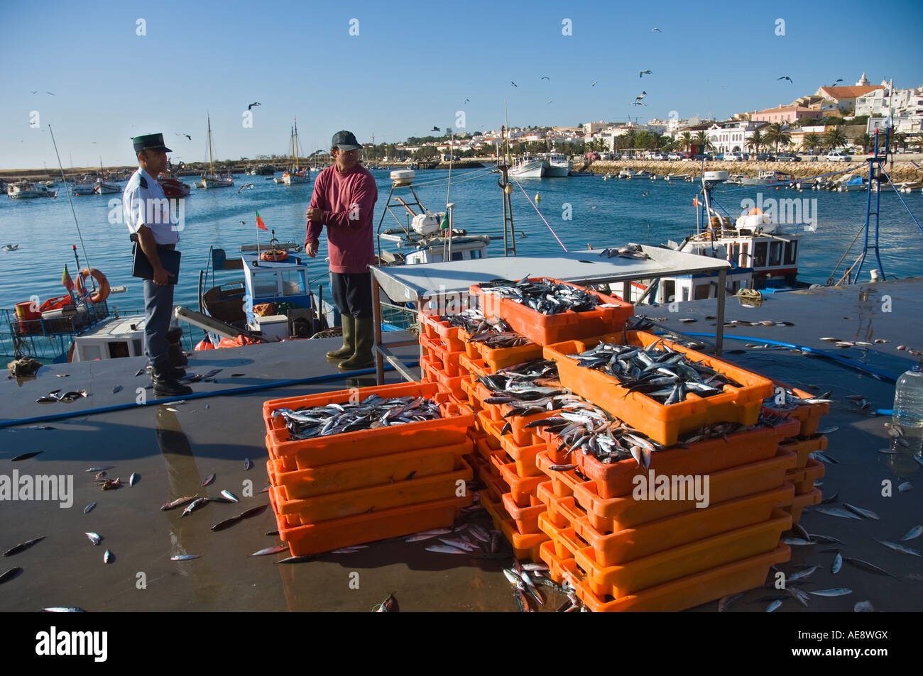 Barche da pesca Lagos Algarve Portogallo Foto Stock