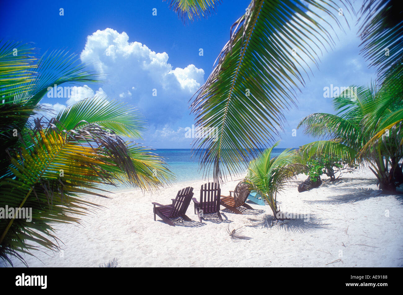 Spiaggia Tropicale scena con palme e sedie in Belize Caraibi Foto Stock
