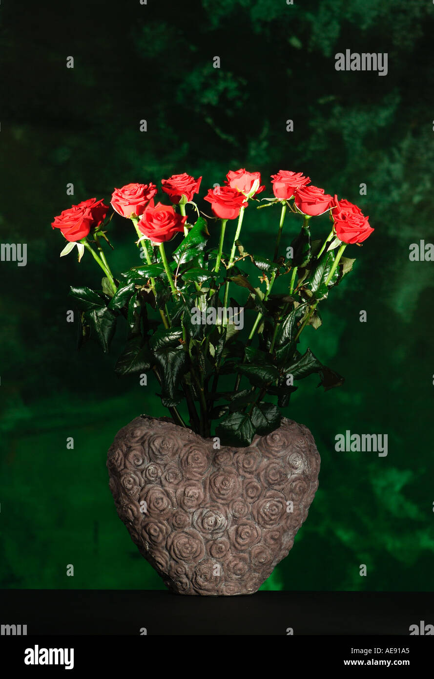 Una dozzina di rose rosse nel cuore forma di vaso Foto Stock