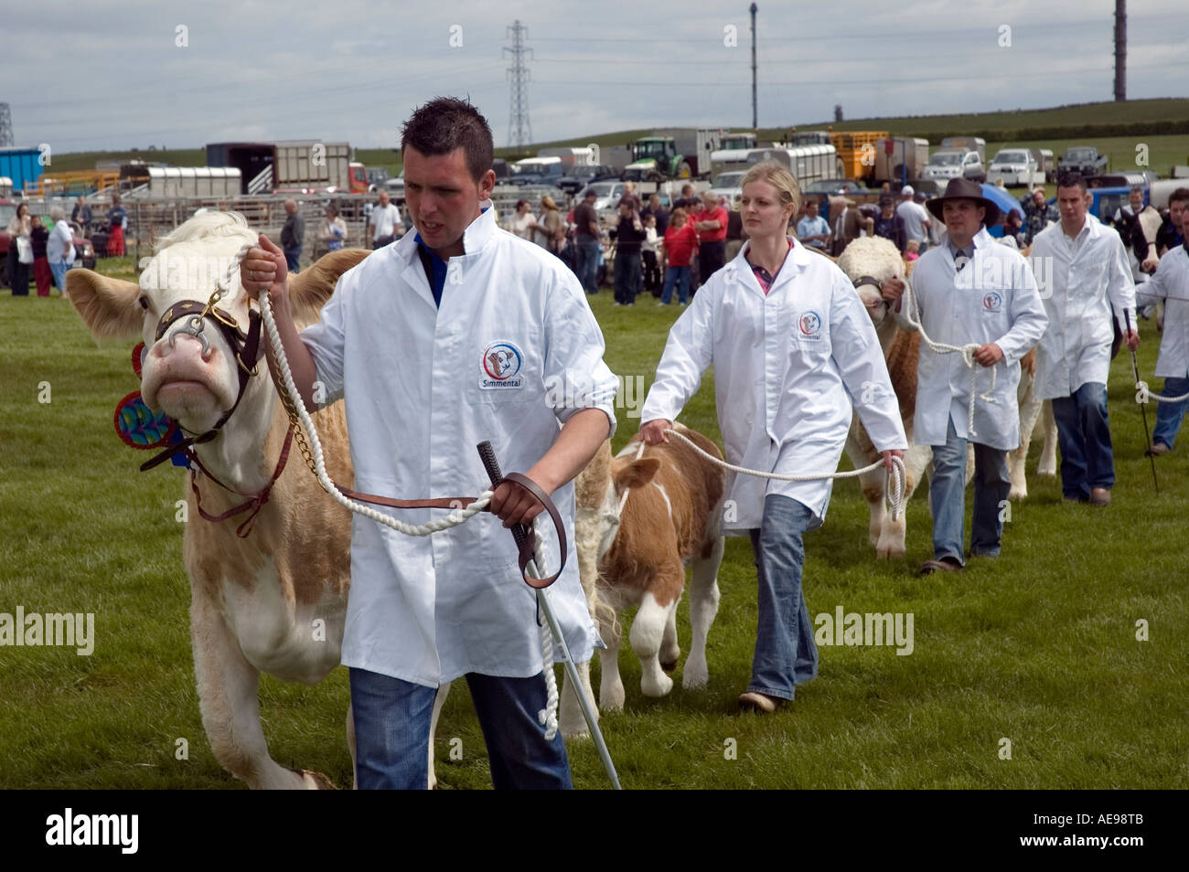 Vincitore del premio di Bull in grand parade presso la centrale e West Fife agricola annuale Mostra Giugno 2006 Foto Stock