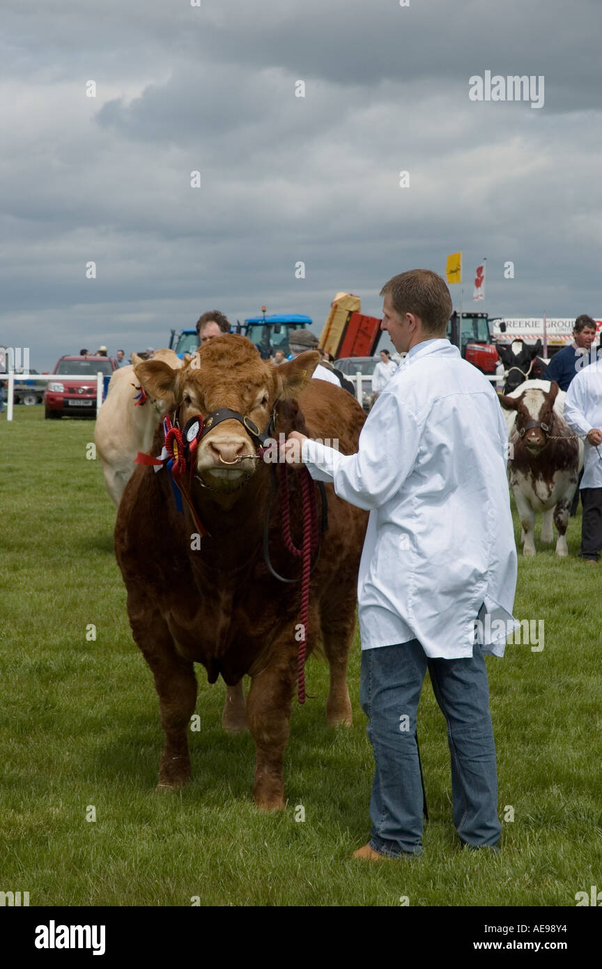 Vincitore del premio bull iat e centrale di West Fife agricola annuale Mostra Giugno 2006 Foto Stock