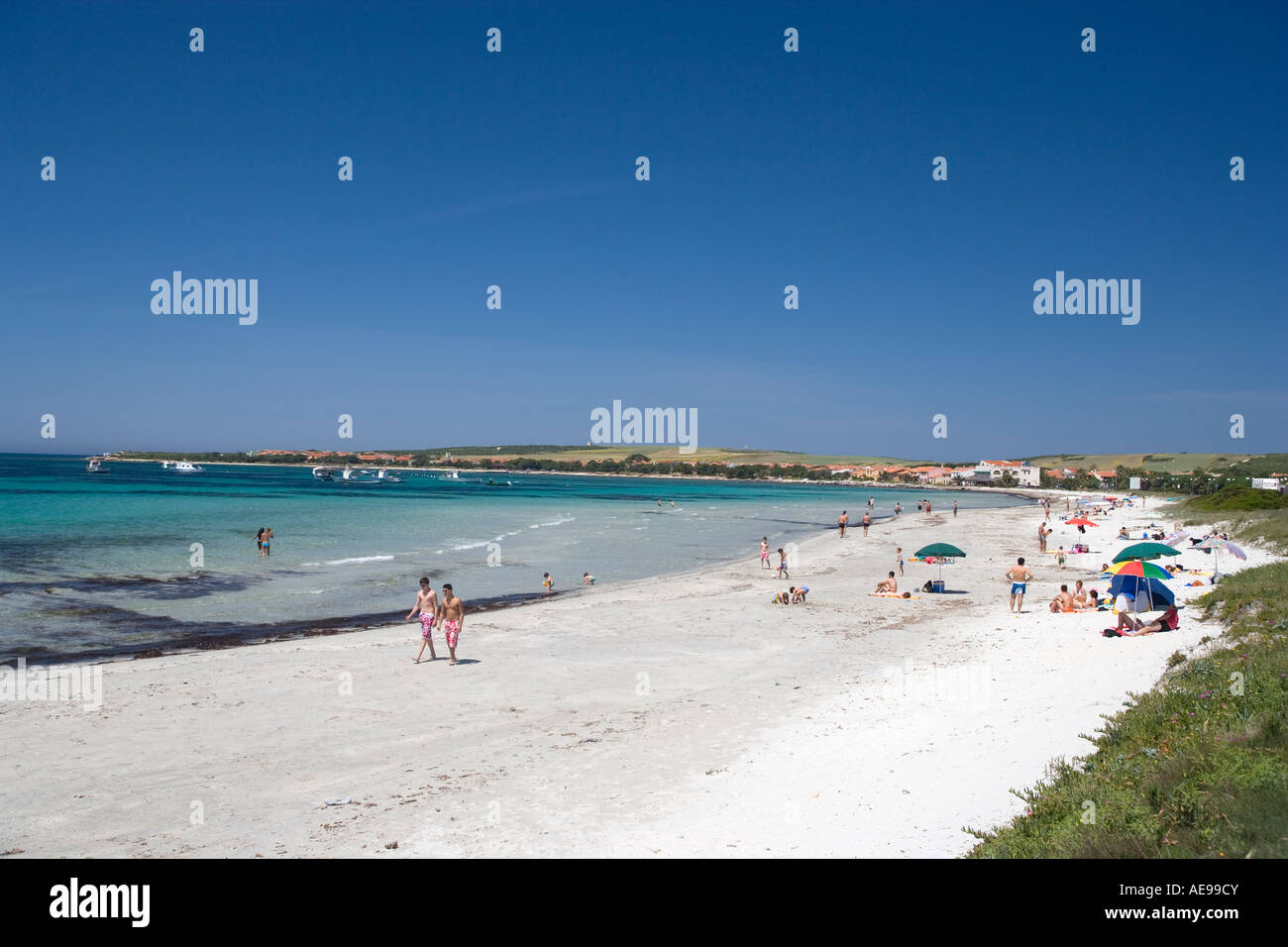 Spiaggia di scena Penisola del Sinis Sardegna Italia Foto Stock