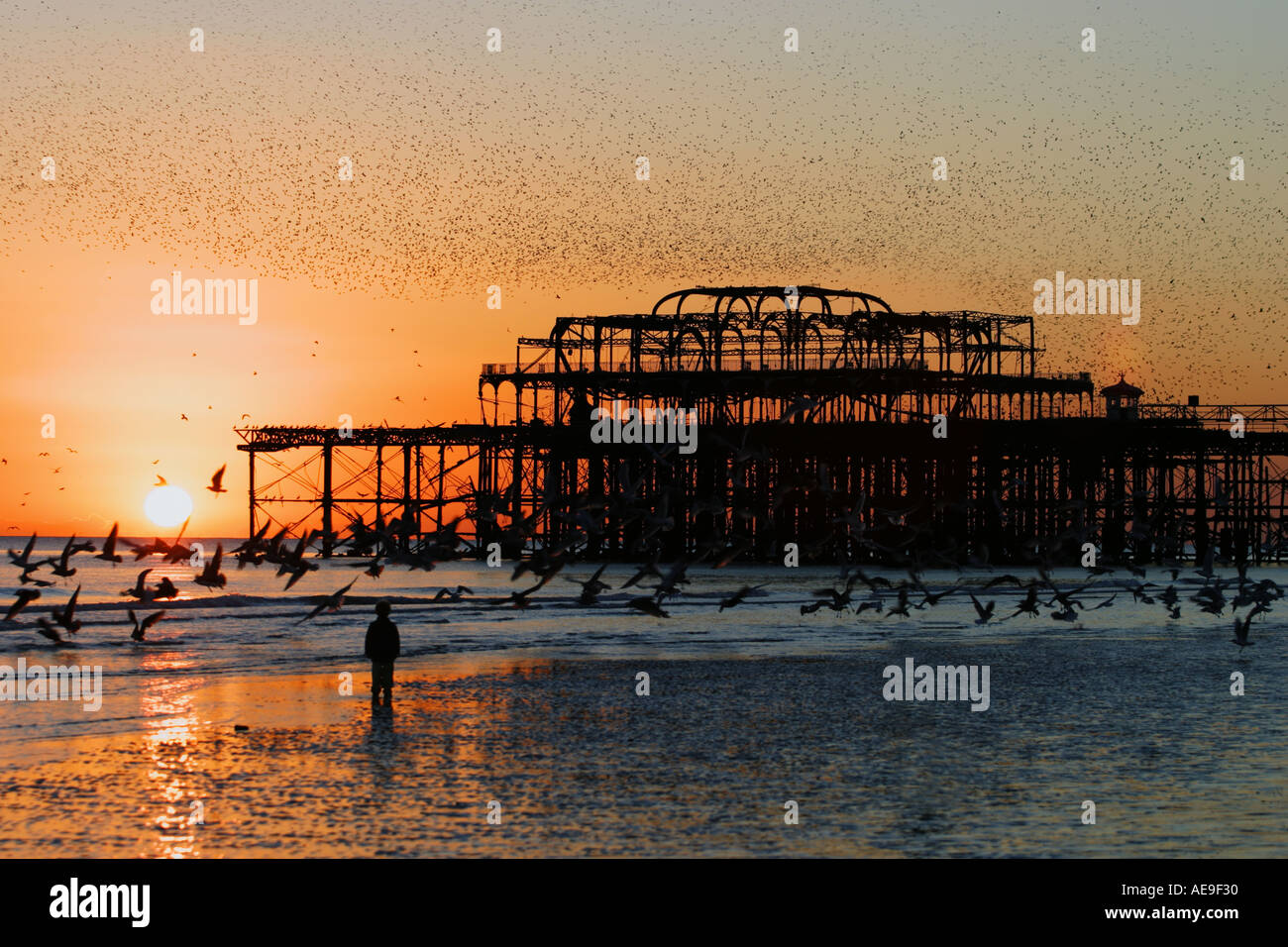 Volo notturno di storni oltre il Molo Ovest di Brighton Sussex al tramonto Foto Stock
