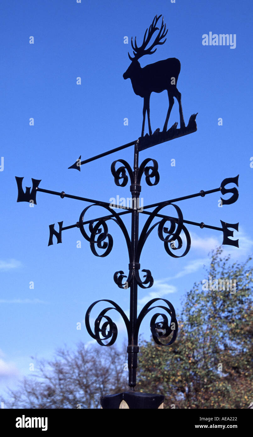 Weather vane Foto Stock