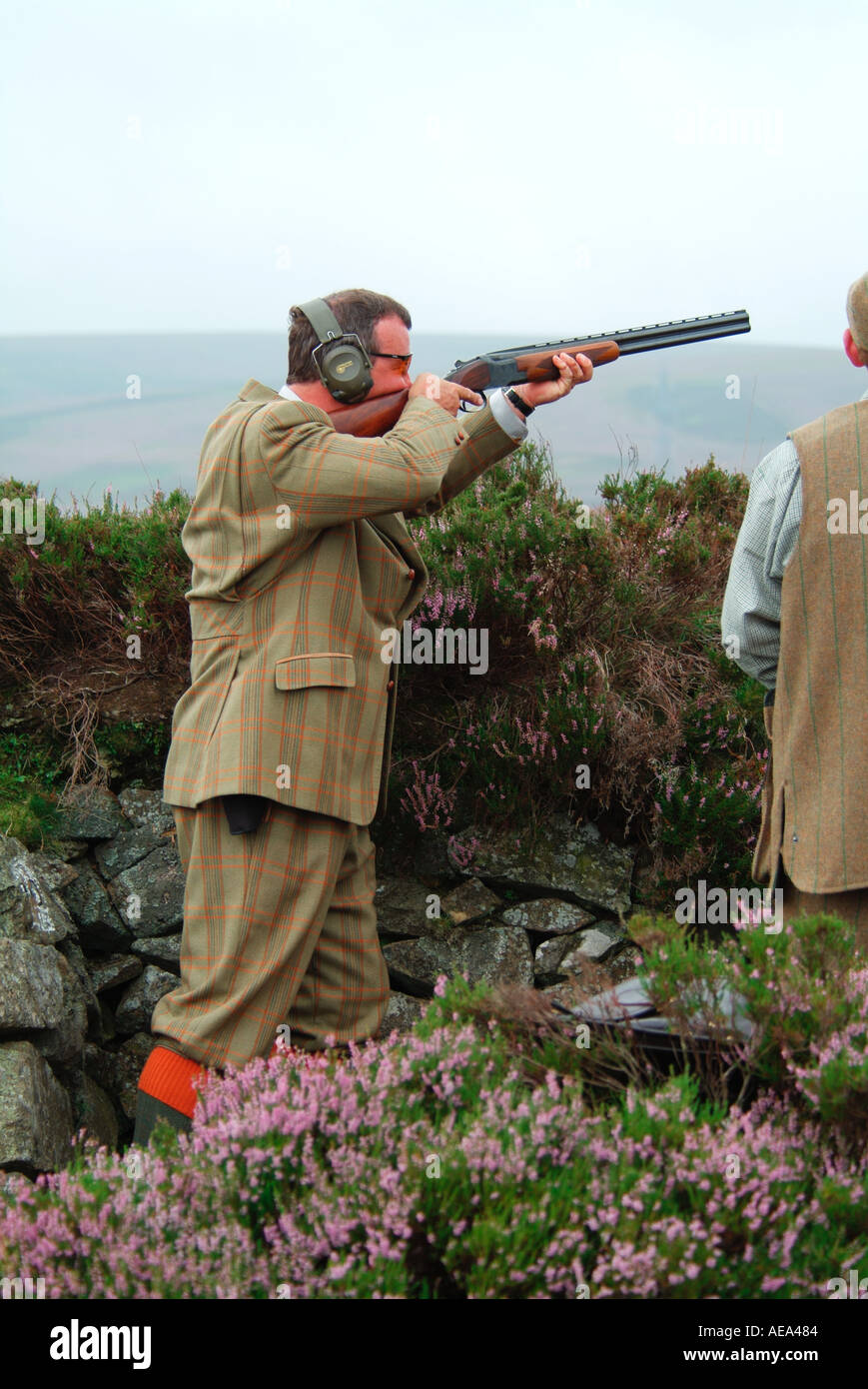 Shooter Roger Mitchell indossando tipiche di ripresa tweed germogli Grouse prefazione Caccia al gallo cedrone Mayshield Station wagon in Scozia il 1 agosto Foto Stock