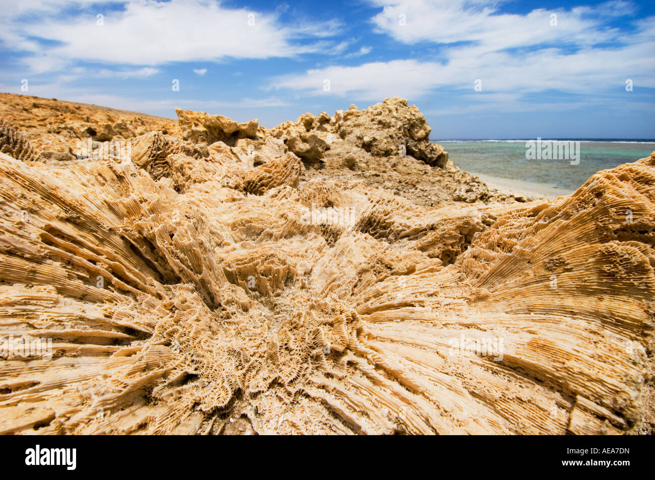 Costa a marsa nakari Marsa Alam Egitto paesaggio deserto blu cielo nuvole spiaggia ruvida Foto Stock