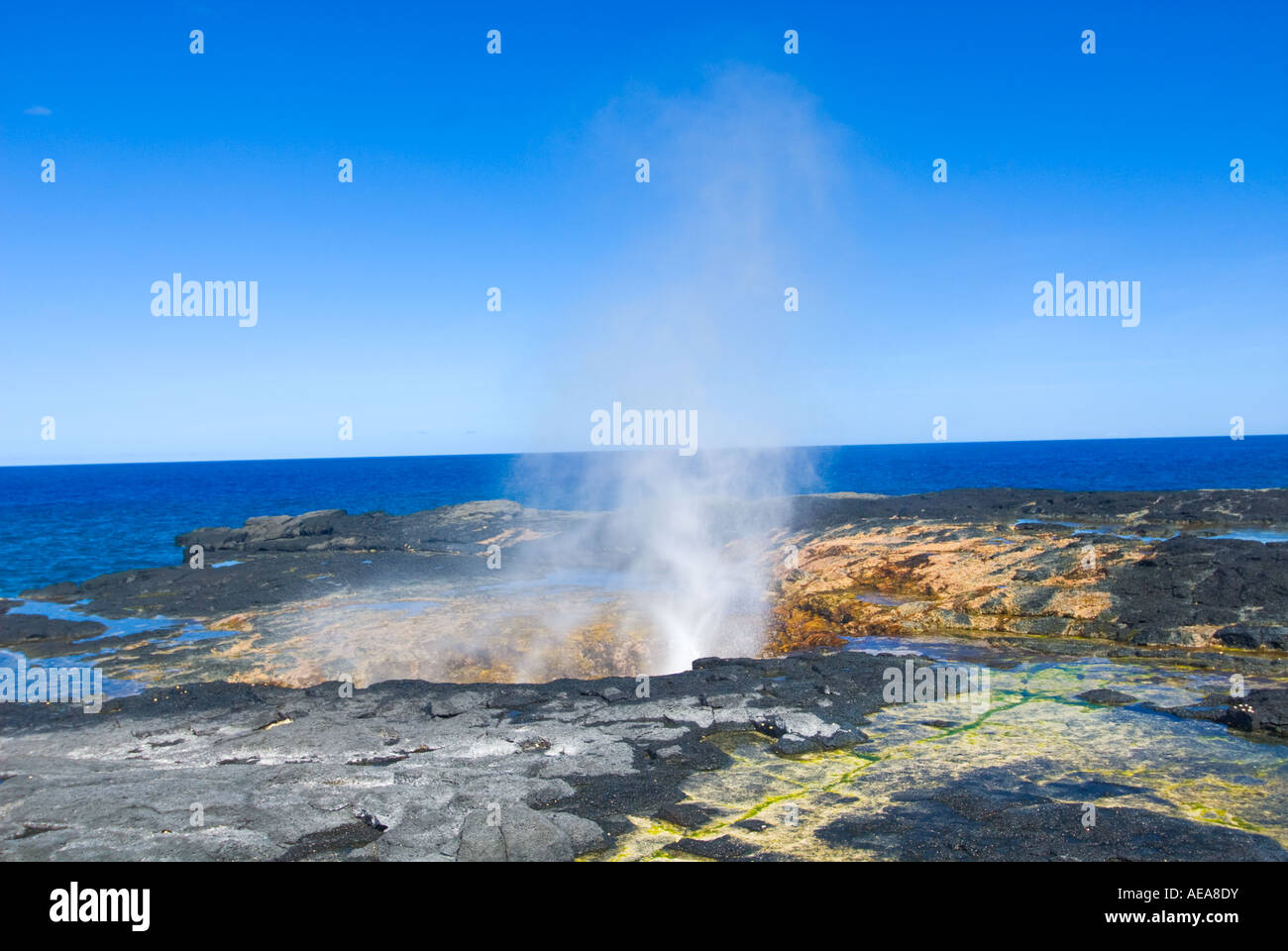 TAGA soffiature fori di soffiaggio southcoast di Savaii costa Lavafield shore SAMOA Campo di Lava Savaii Samoa occidentale Foto Stock