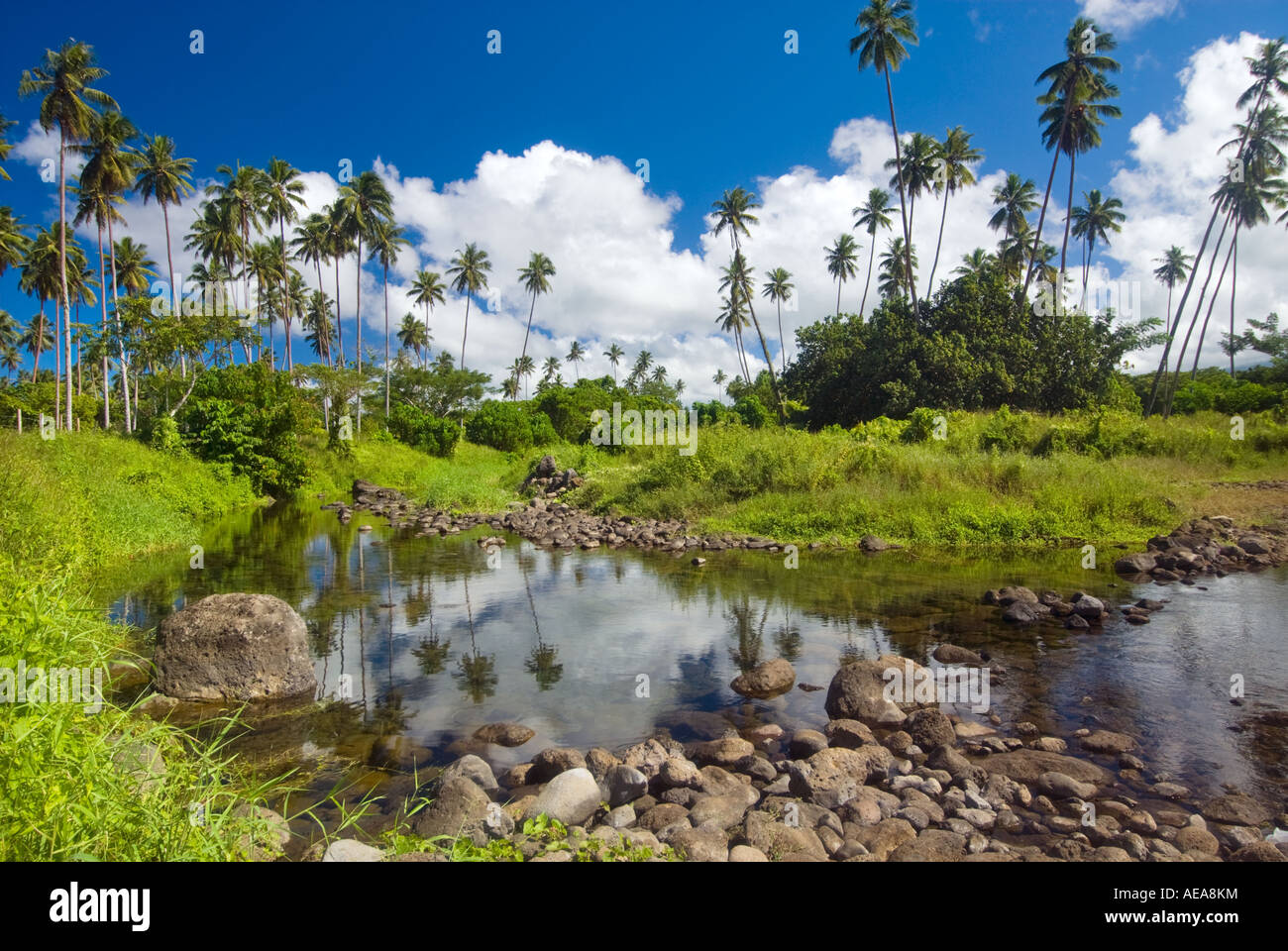 SAVAII SAMOA navigazione go up paese meraviglioso grandios magnifico paesaggio fantasticterrific Palms acqua dolce riflesso di riflessione Foto Stock