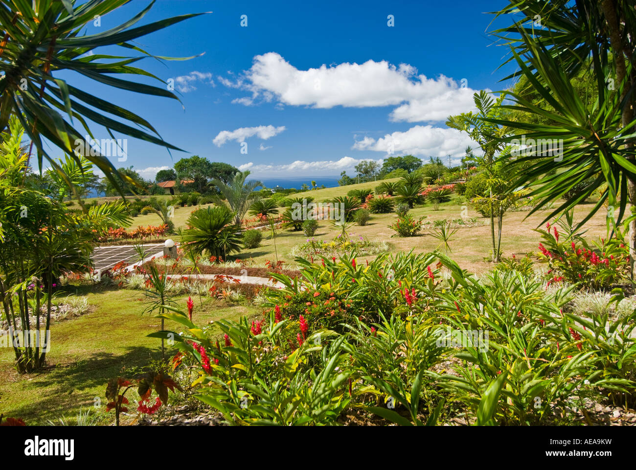 Giardino dei bahaisti casa di culto in Western Samoa BAHAI House APIA Tempio madre delle isole del Pacifico Foto Stock