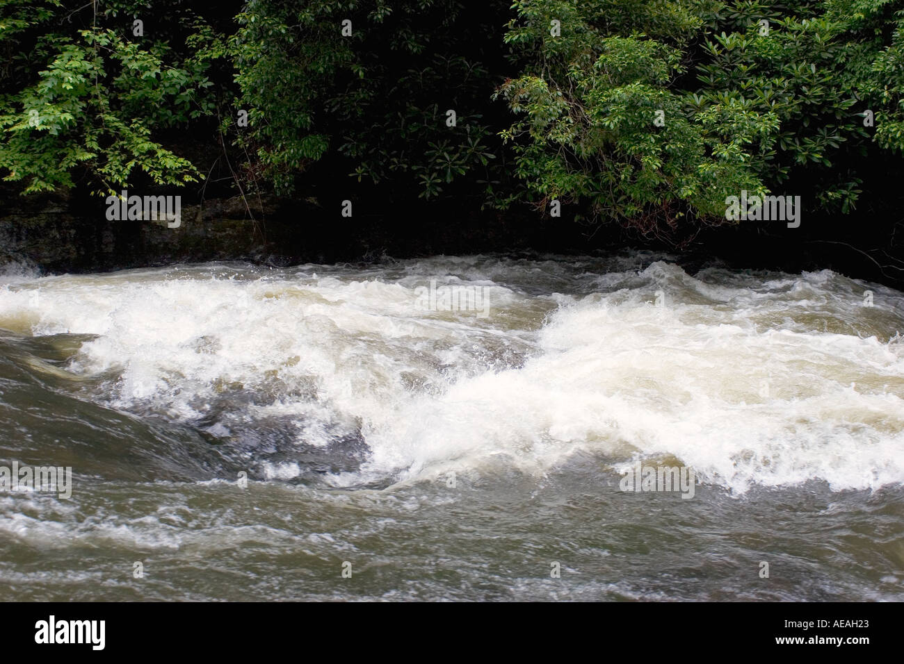 Acqua Bianca sul fiume Nantahala Carolina del Nord STATI UNITI D'AMERICA Foto Stock