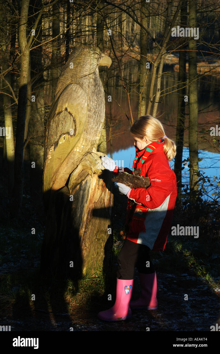 Una giovane ragazza guarda un woode scultura di un aquilone rosso a Nant Yr Arian Forest park vicino Ponterwyd Aberystwyth Ceredigion REGNO UNITO Foto Stock
