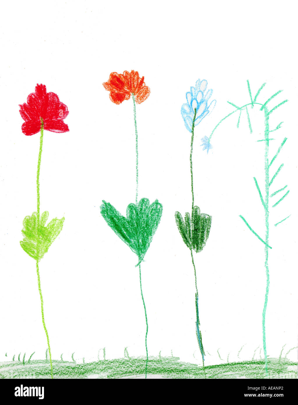 Childs disegno di fiori Foto Stock