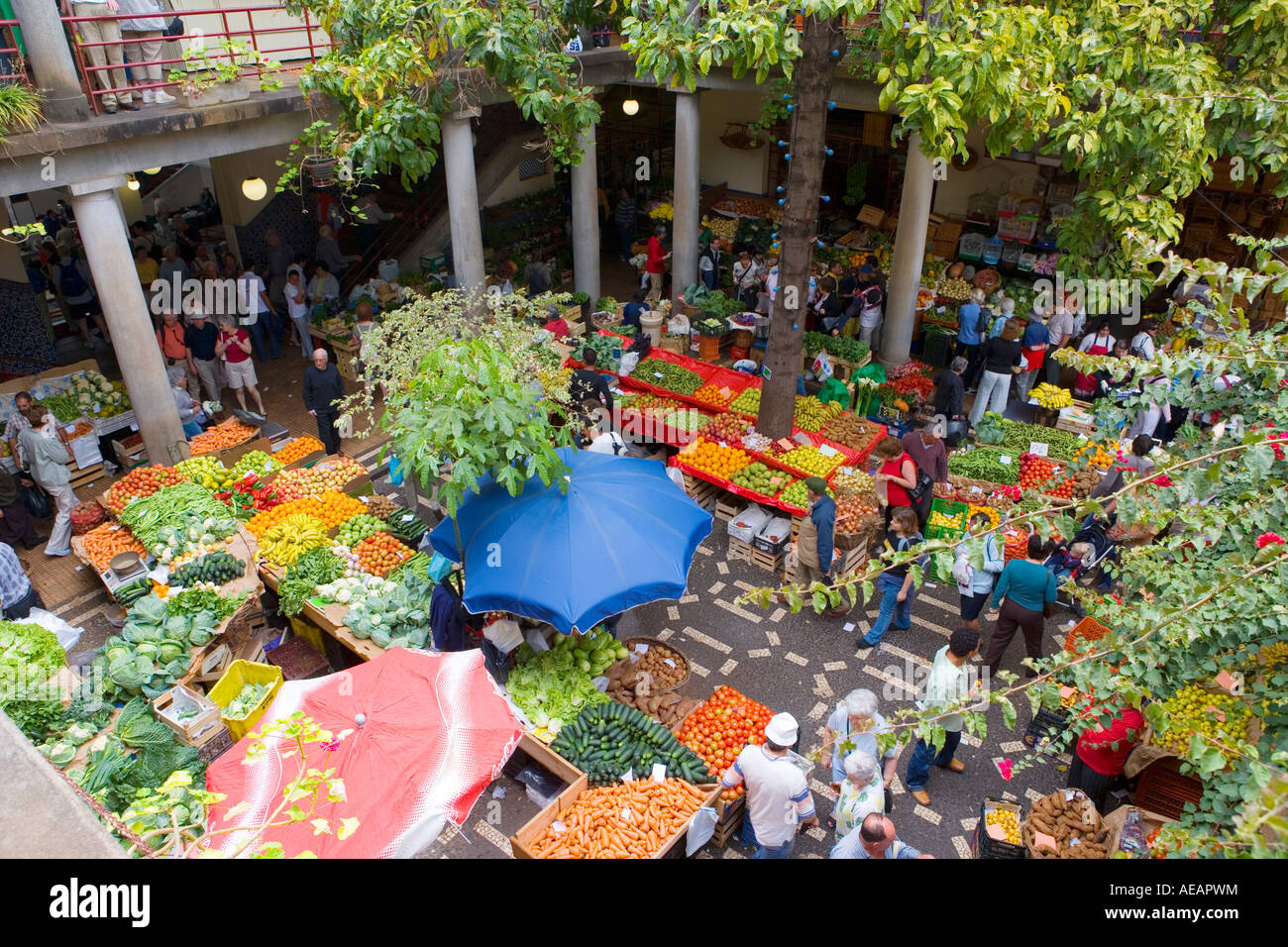 Madeira, Funchal, fiore al coperto e il mercato della frutta Foto Stock
