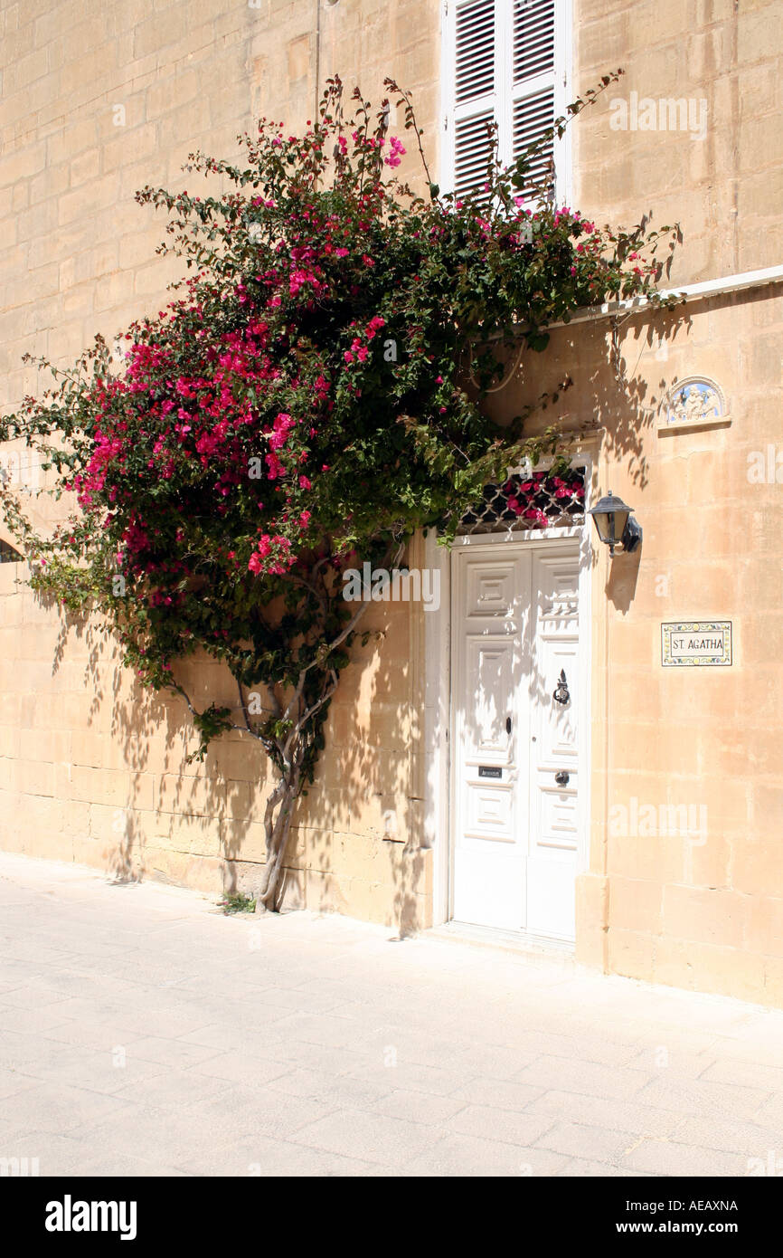 Un tradizionale edificio maltese entro la città silenziosa di Mdina. MALTA. Europa Foto Stock