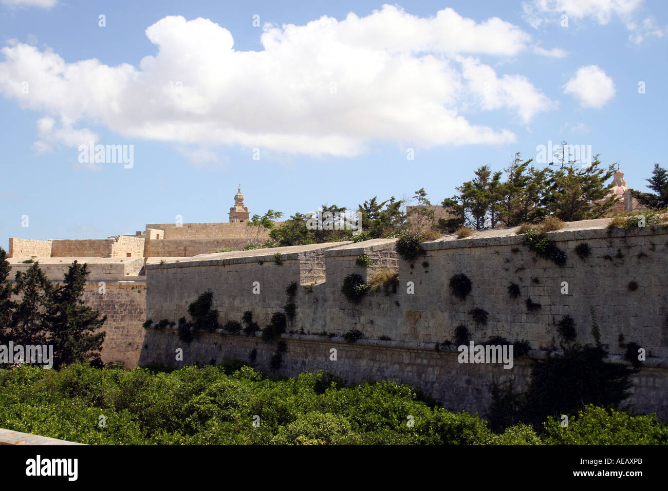 La fortificata mura esterne della città di Mdina. MALTA. Europa Foto Stock