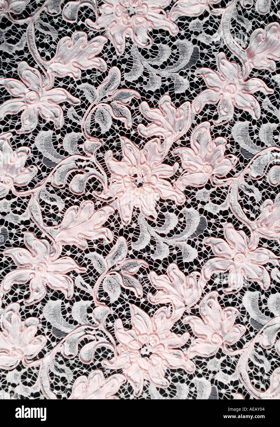 Pizzo inglese dettaglio chiudere fino Foto Stock