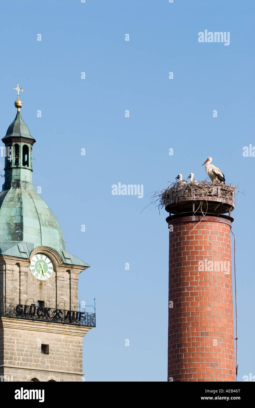 Cicogna bianca (Ciconia ciconia) nido sul camino nella piccola città con il campanile di una chiesa in background. Auerbach, Germania Foto Stock